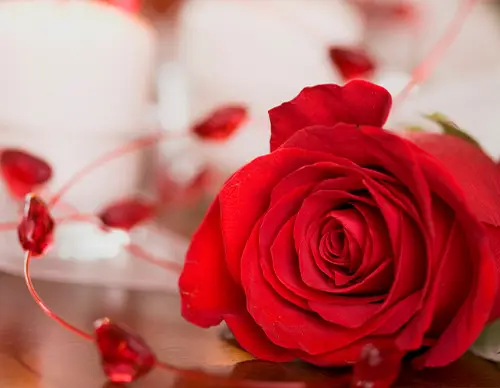 alla hjärtans dag catering uppsala takeaway